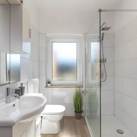 Salvia - Happy *